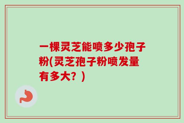 一棵灵芝能喷多少孢子粉(灵芝孢子粉喷发量有多大？)