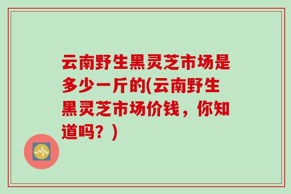 云南野生黑灵芝市场是多少一斤的(云南野生黑灵芝市场价钱，你知道吗？)
