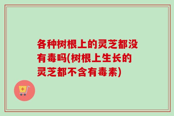 各种树根上的灵芝都没有毒吗(树根上生长的灵芝都不含有毒素)