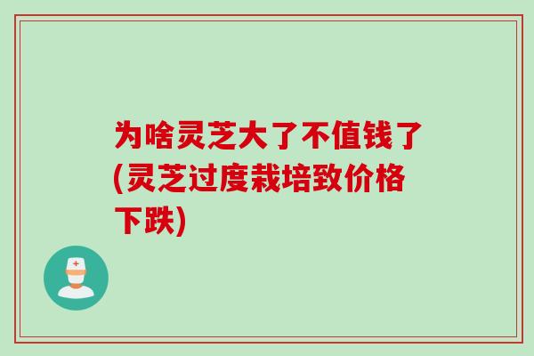 为啥灵芝大了不值钱了(灵芝过度栽培致价格下跌)