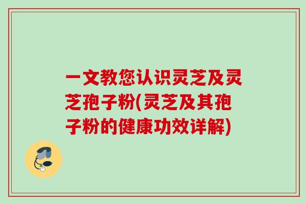 一文教您认识灵芝及灵芝孢子粉(灵芝及其孢子粉的健康功效详解)