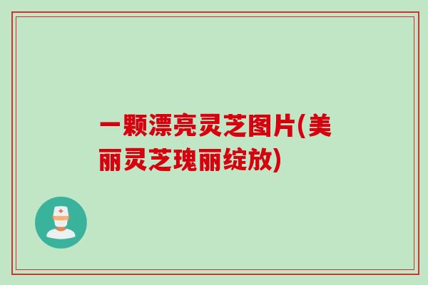 一颗漂亮灵芝图片(美丽灵芝瑰丽绽放)