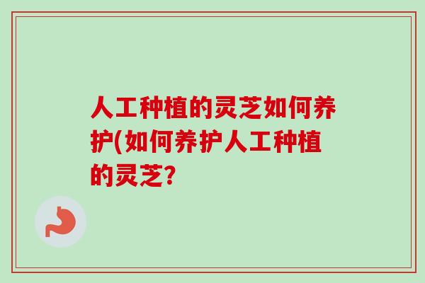 人工种植的灵芝如何养护(如何养护人工种植的灵芝？