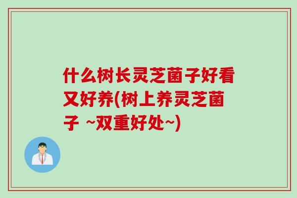 什么树长灵芝菌子好看又好养(树上养灵芝菌子 ~双重好处~)