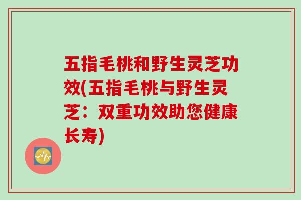 五指毛桃和野生灵芝功效(五指毛桃与野生灵芝：双重功效助您健康长寿)