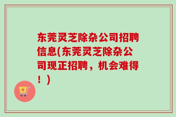 东莞灵芝除杂公司招聘信息(东莞灵芝除杂公司现正招聘，机会难得！)