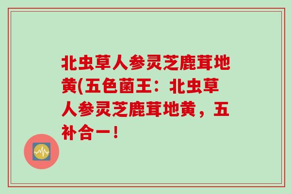 北虫草人参灵芝鹿茸地黄(五色菌王：北虫草人参灵芝鹿茸地黄，五补合一！