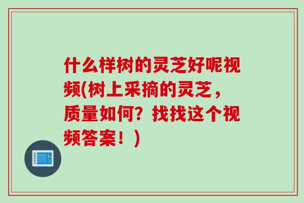 什么样树的灵芝好呢视频(树上采摘的灵芝，质量如何？找找这个视频答案！)