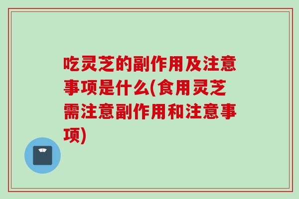吃灵芝的副作用及注意事项是什么(食用灵芝需注意副作用和注意事项)