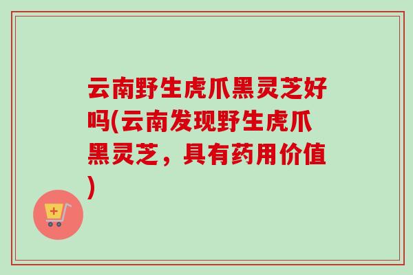 云南野生虎爪黑灵芝好吗(云南发现野生虎爪黑灵芝，具有药用价值)