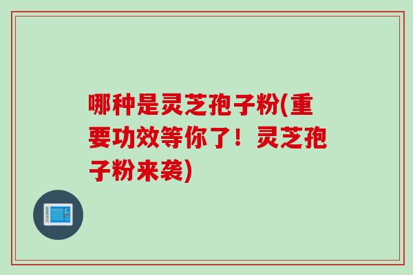 哪种是灵芝孢子粉(重要功效等你了!灵芝孢子粉来袭) 哪种是灵芝孢子粉(重要功效等你了!灵芝孢子粉来袭)