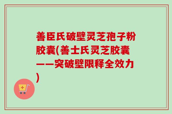 善臣氏破壁灵芝孢子粉胶囊(善士氏灵芝胶囊——突破壁限释全效力)