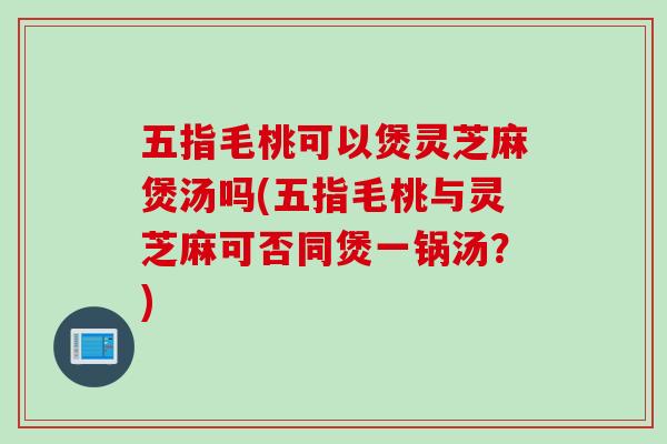 五指毛桃可以煲灵芝麻煲汤吗(五指毛桃与灵芝麻可否同煲一锅汤？)