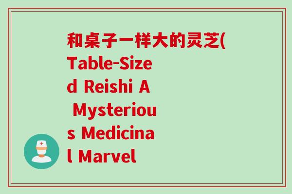 和桌子一样大的灵芝(Table-Sized Reishi A Mysterious Medicinal Marvel