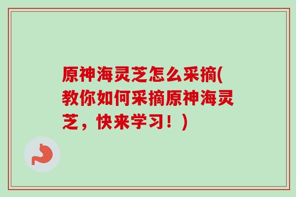 原神海灵芝怎么采摘(教你如何采摘原神海灵芝，快来学习！)