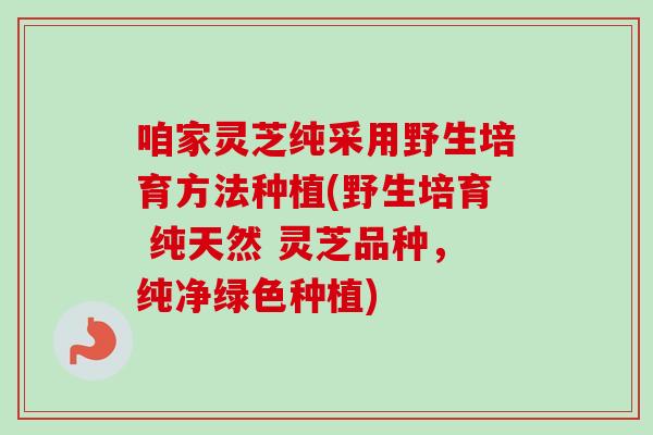 咱家灵芝纯采用野生培育方法种植(野生培育 纯天然 灵芝品种，纯净绿色种植)