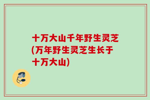 十万大山千年野生灵芝(万年野生灵芝生长于十万大山)