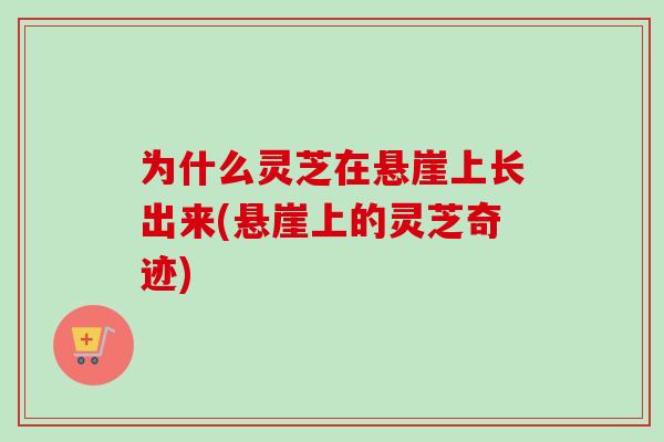 为什么灵芝在悬崖上长出来(悬崖上的灵芝奇迹)