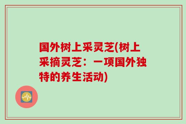国外树上采灵芝(树上采摘灵芝：一项国外独特的养生活动)