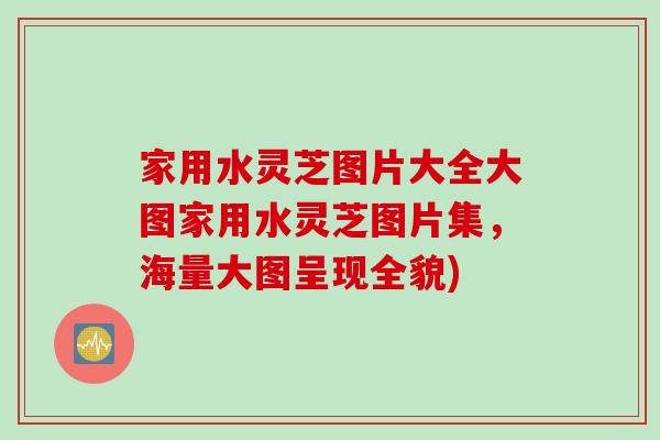 家用水灵芝图片大全大图家用水灵芝图片集,海量大图呈现全貌) 家用水灵芝图片大全大图家用水灵芝图片集,海量大图呈现全貌)