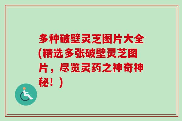 多种破壁灵芝图片大全(精选多张破壁灵芝图片，尽览灵药之神奇神秘！)
