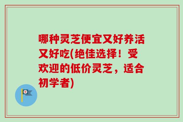 哪种灵芝便宜又好养活又好吃(绝佳选择!受欢迎的低价灵芝,适合初学者) 哪种灵芝便宜又好养活又好吃(绝佳选择!受欢迎的低价灵芝,适合初学者)