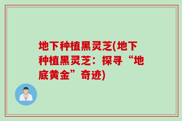 地下种植黑灵芝(地下种植黑灵芝：探寻“地底黄金”奇迹)