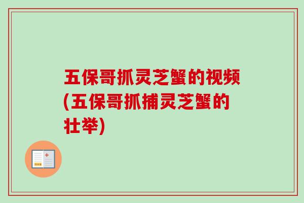 五保哥抓灵芝蟹的视频(五保哥抓捕灵芝蟹的壮举)