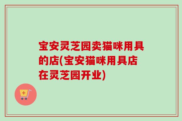 宝安灵芝园卖猫咪用具的店(宝安猫咪用具店在灵芝园开业)