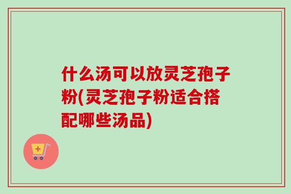 什么汤可以放灵芝孢子粉(灵芝孢子粉适合搭配哪些汤品)