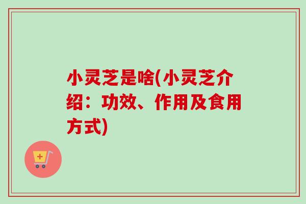 小灵芝是啥(小灵芝介绍：功效、作用及食用方式)