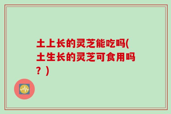 土上长的灵芝能吃吗(土生长的灵芝可食用吗？)