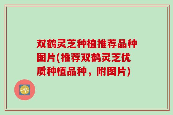 双鹤灵芝种植推荐品种图片(推荐双鹤灵芝优质种植品种,附图片) 双鹤灵芝种植推荐品种图片(推荐双鹤灵芝优质种植品种,附图片)