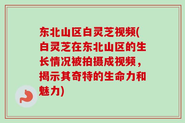 东北山区白灵芝视频(白灵芝在东北山区的生长情况被拍摄成视频，揭示其奇特的生命力和魅力)