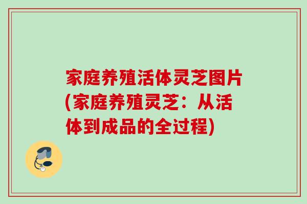 家庭养殖活体灵芝图片(家庭养殖灵芝:从活体到成品的全过程) 家庭养殖活体灵芝图片(家庭养殖灵芝:从活体到成品的全过程)