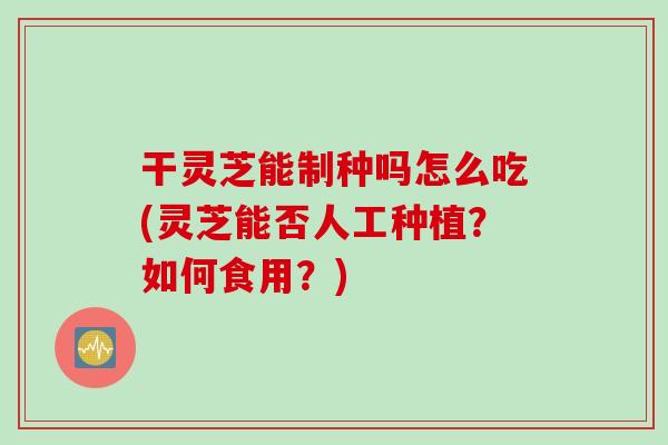 干灵芝能制种吗怎么吃(灵芝能否人工种植?如何食用?) 干灵芝能制种吗怎么吃(灵芝能否人工种植?如何食用?)