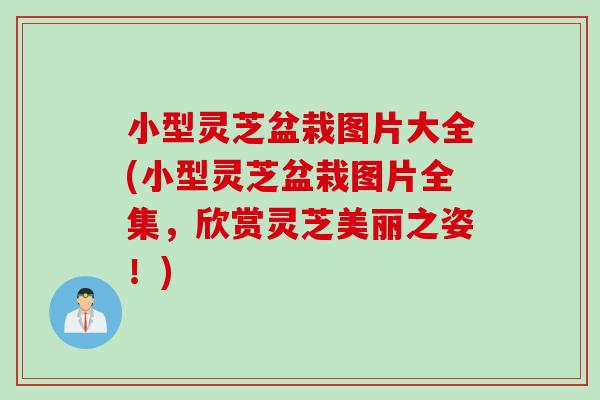 小型灵芝盆栽图片大全(小型灵芝盆栽图片全集，欣赏灵芝美丽之姿！)
