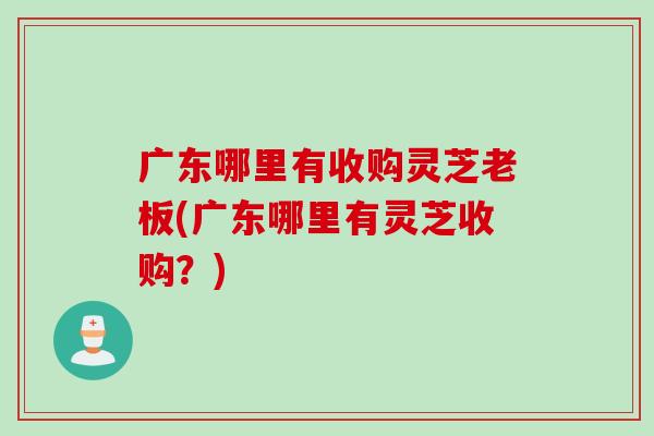 广东哪里有收购灵芝老板(广东哪里有灵芝收购？)
