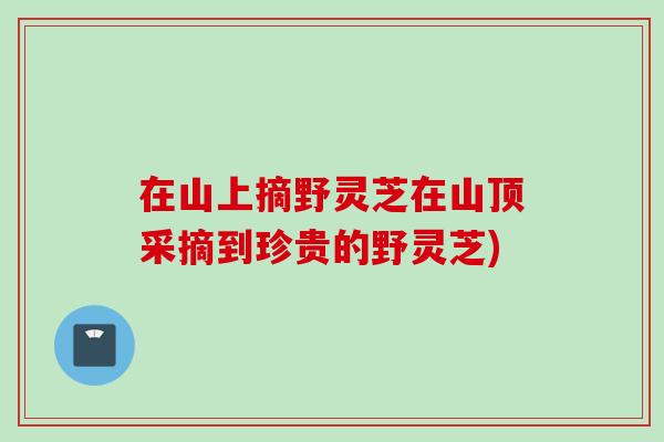 在山上摘野灵芝在山顶采摘到珍贵的野灵芝)