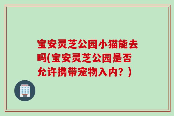 宝安灵芝公园小猫能去吗(宝安灵芝公园是否允许携带宠物入内？)