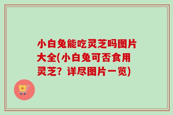 小白兔能吃灵芝吗图片大全(小白兔可否食用灵芝？详尽图片一览)