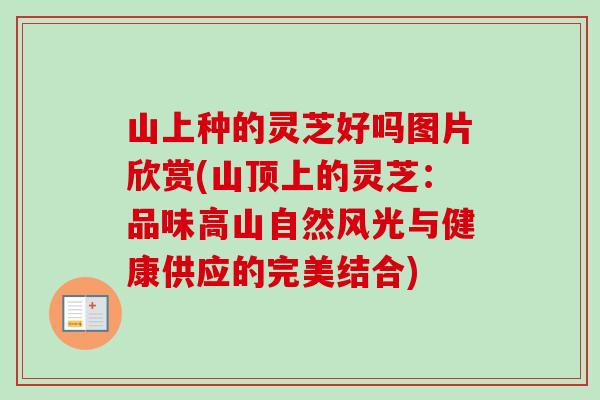 山上种的灵芝好吗图片欣赏(山顶上的灵芝：品味高山自然风光与健康供应的完美结合)
