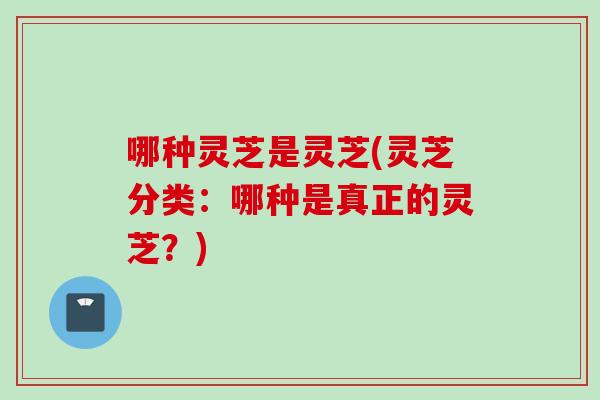 哪种灵芝是灵芝(灵芝分类：哪种是真正的灵芝？)