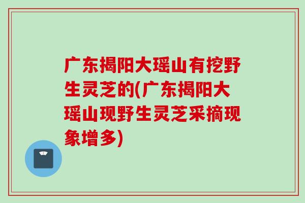 广东揭阳大瑶山有挖野生灵芝的(广东揭阳大瑶山现野生灵芝采摘现象增多)
