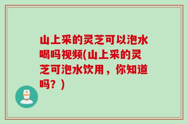 山上采的灵芝可以泡水喝吗视频(山上采的灵芝可泡水饮用，你知道吗？)
