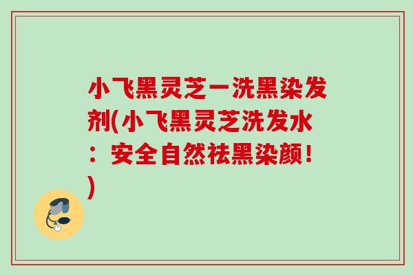 小飞黑灵芝一洗黑染发剂(小飞黑灵芝洗发水：安全自然祛黑染颜！)