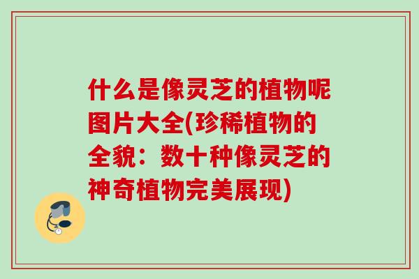 什么是像灵芝的植物呢图片大全(珍稀植物的全貌：数十种像灵芝的神奇植物完美展现)
