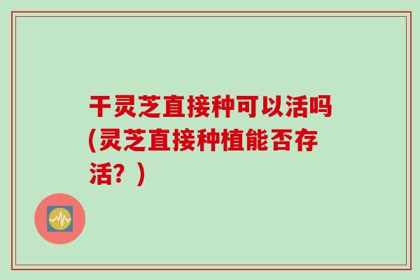 干灵芝直接种可以活吗(灵芝直接种植能否存活？)