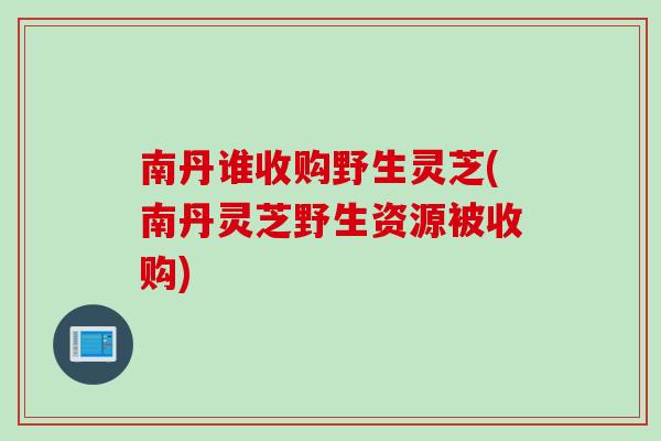 南丹谁收购野生灵芝(南丹灵芝野生资源被收购)