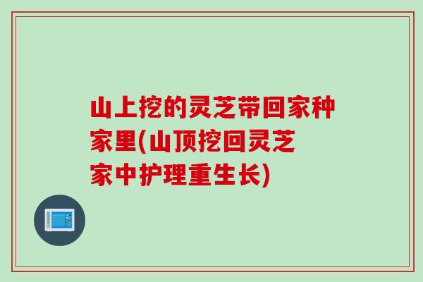 山上挖的灵芝带回家种家里(山顶挖回灵芝 家中护理重生长)